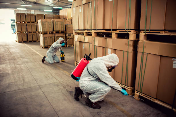 Best Wildlife Control Services  in Carey, ID