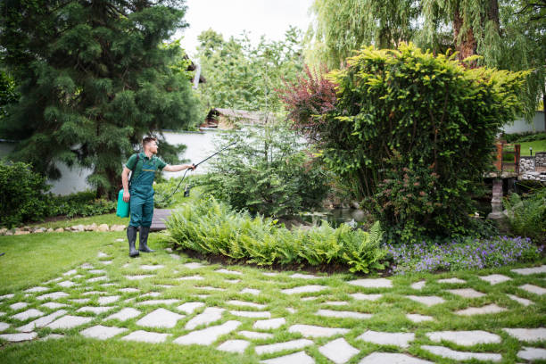 Best Pest Control Near Me  in Carey, ID