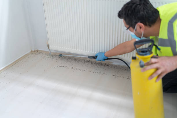 Best Best Pest Control Companies  in Carey, ID