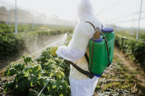 Best Pest Control Treatment  in Carey, ID